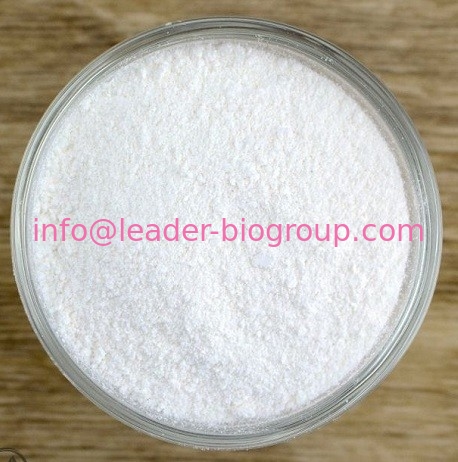 China Largest Manufacturer Factory Supply 6-Chloropurine riboside  CAS 5399-87-1