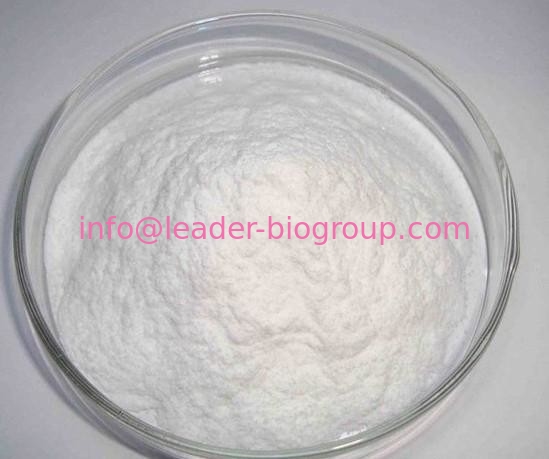 Google China Biggest factory produce L-malic acid disodium CAS 138-09-0