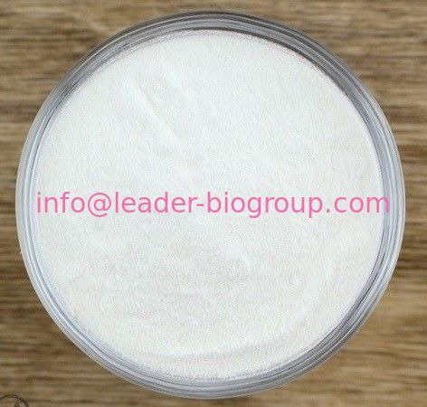 China biggest Factory Sodium Alpha ketoisocaproate  CAS 4502-00-5  Inquiry: Info@Leader-Biogroup.Com