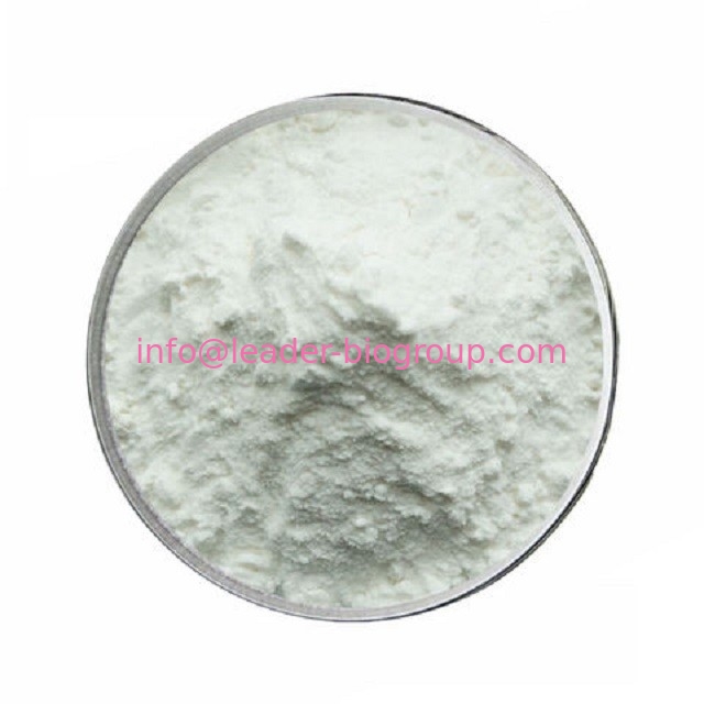 China biggest Manufacturer Factory Supply Borage powder