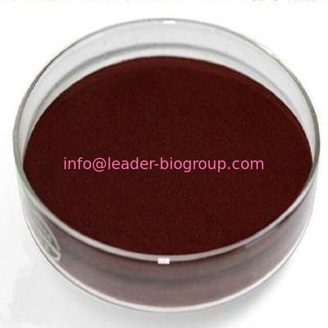 China biggest Manufacturer Factory Supply Grape seed Extract CAS 84929-27-1