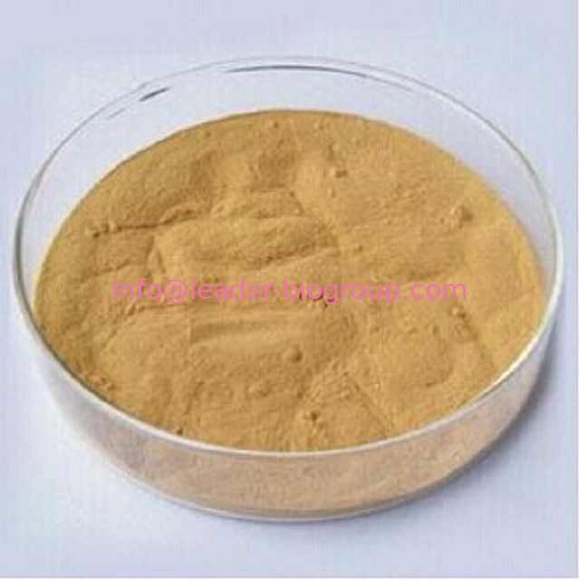 China biggest Manufacturer Factory Supply Stevia Rebaudiana Extract  CAS 91722-21-3