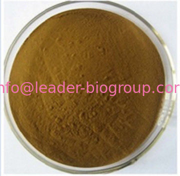 China biggest Manufacturer Factory Supply  Astragalus Polysacharin  CAS 89250-26-0