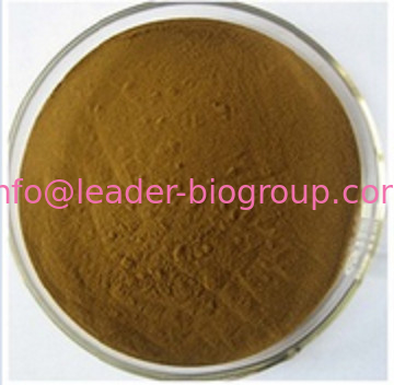 China biggest Manufacturer Factory Supply Evening primrose powder