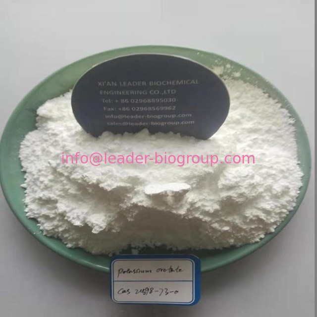 Factory supply Potassium Orotate powder