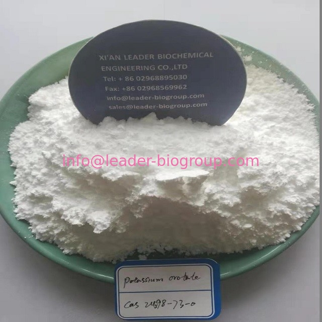 Factory supply Potassium Orotate powder