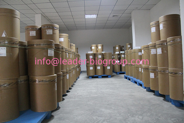 LeaderBio-China Largest Manufacturer Factory Supplier Supply Methyl Vanillate CAS 3943-74-6
