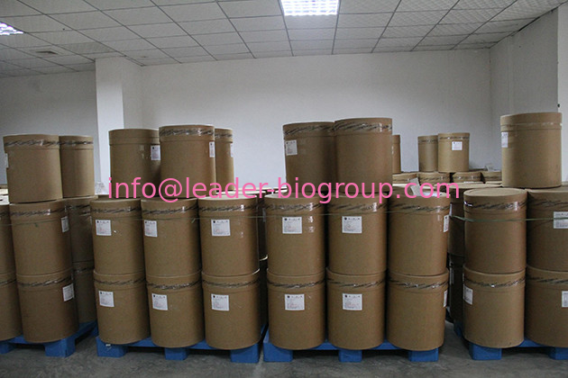 China Sources Factory & Manufacturer Supply RIBOFLAVIN 5-PHOSPHATE SODIUM Inquiry: info@leader-biogroup.com