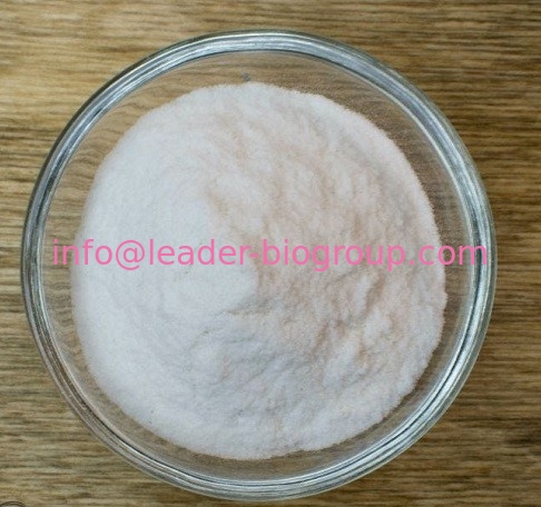 China Sources Factory &amp; Manufacturer Supply Cinnamic Acid CAS 621-82-9 Inquiry: Info@Leader-Biogroup.Com