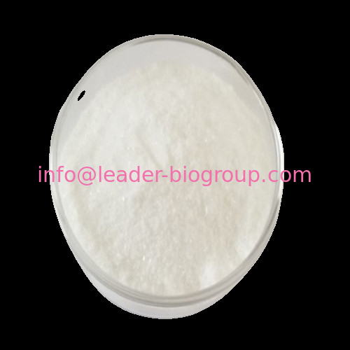China Sources Factory Supply Isolicoflavonol CAS 94805-83-1 Inquiry: Info@Leader-Biogroup.Com