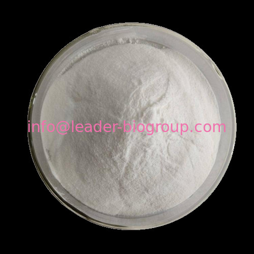 China Sources Factory Supply KAEMPFEROL-3-O-RUTINOSIDE CAS 17650-84-9 Inquiry: Info@Leader-Biogroup.Com