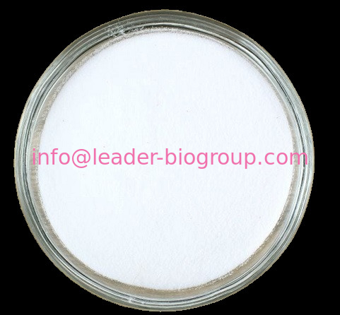 China Sources Factory Supply Myricetin 3-O-galactoside CAS 15648-86-9 Inquiry: Info@Leader-Biogroup.Com