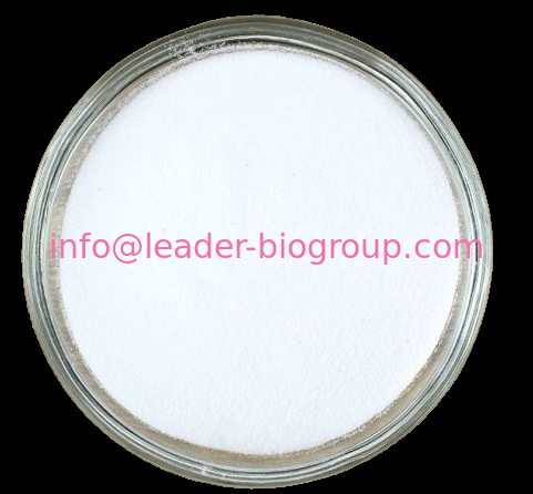 China Sources Factory Supply Quercetin 3-O-neohesperidoside CAS 32453-36-4 Inquiry: Info@Leader-Biogroup.Com