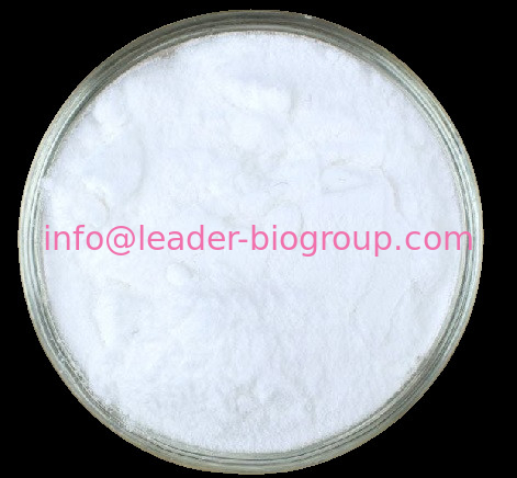 China Sources Factory Supply Naringenin-7-O-glucuronide CAS 158196-34-0 Inquiry: Info@Leader-Biogroup.Com