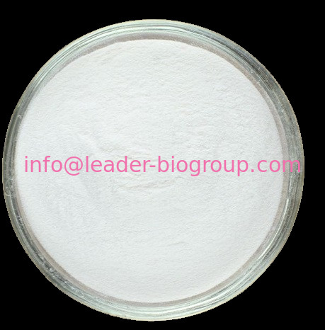 China biggest Factory Supply CAS: 1081-34-1  2,2':5',2''-TERTHIOPHENE  Inquiry: Info@Leader-Biogroup.Com