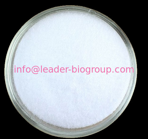 China Sources Factory Supply Boron nitride CAS 10043-11-5 Inquiry: Info@Leader-Biogroup.Com