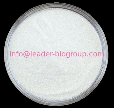 China Sources Factory Supply Epothilone F CAS 208518-52-9 Inquiry: Info@Leader-Biogroup.Com