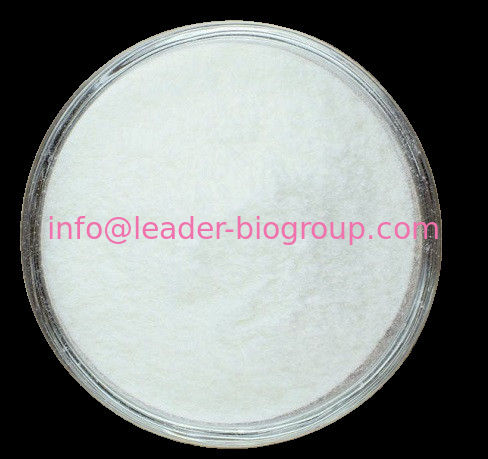 China biggest Factory Supply CAS: 1081-34-1  2,2':5',2''-TERTHIOPHENE  Inquiry: Info@Leader-Biogroup.Com