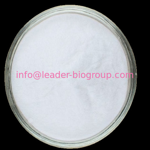 China Sources Factory Supply 2'-acetylacteoside CAS 94492-24-7 Inquiry: Info@Leader-Biogroup.Com