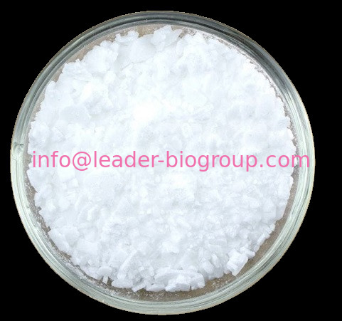 China biggest Factory Supply CAS: 108549-23-1  DIBENZYL DIISOPROPYLPHOSPHORAMIDITE  Inquiry: Info@Leader-Biogroup.Com