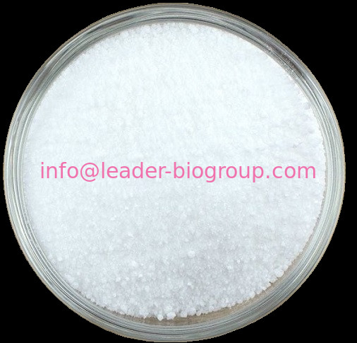 China Sources Factory Supply quercetin 3-O-gentobioside CAS 7431-83-6  Inquiry: Info@Leader-Biogroup.Com