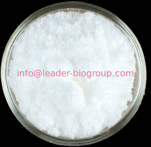 China biggest Factory  Supply D-Galactose CAS 59-23-4 Inquiry: Info@Leader-Biogroup.Com