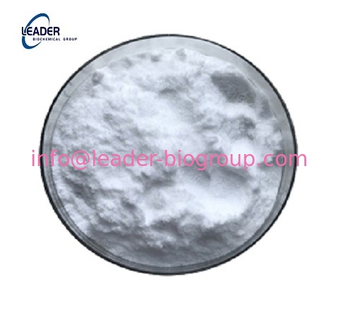 China biggest Factory Supply CAS: 29539-03-5 5,6-DIHYDROXYINDOLINE  Inquiry: Info@Leader-Biogroup.Com