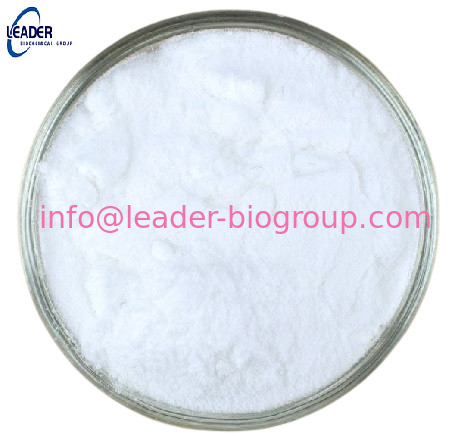 China biggest Factory  Supply Polyvinylpyrrolidone(PVP) CAS 9003-39-8 Inquiry: Info@Leader-Biogroup.Com