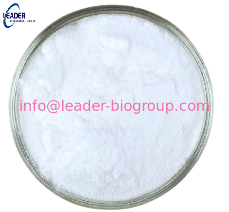 Factory Supply CAS: 2536-91-6 2-Amino-6-methylbenzothiazole Inquiry: Info@Leader-Biogroup.Com