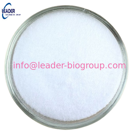 China biggest Factory  Supply Polyvinylpyrrolidone(PVP) CAS 9003-39-8 Inquiry: Info@Leader-Biogroup.Com