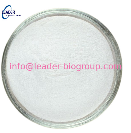 China biggest Factory  Supply CAS: 122-05-4 PYRAZINE-2,5-DICARBOXYLIC ACID  Inquiry: Info@Leader-Biogroup.Com