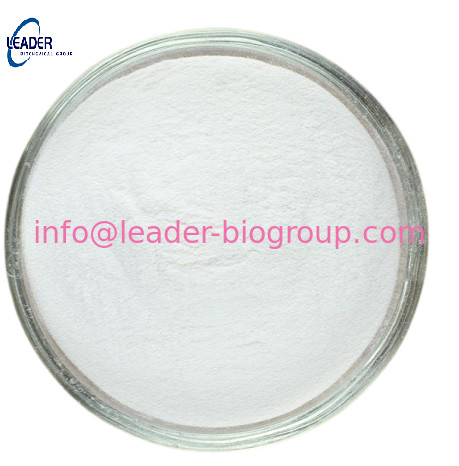China biggest Factory  Supply CAS: 31230-17-8 3-Amino-5-methylpyrazole  Inquiry: Info@Leader-Biogroup.Com