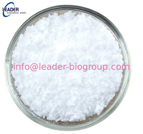 Factory Supply CAS: 17264-53-8  SODIUM P-T-BUTYLBENZOATE  Inquiry: Info@Leader-Biogroup.Com