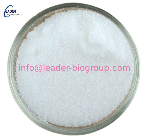 China biggest Factory Supply CAS: 876442-90-9 (2-Phenylnaphthalen-6-yl)boronic Acid  Inquiry: Info@Leader-Biogroup.Com