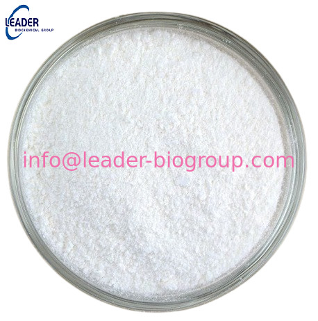 China biggest Factory Manufacturer Supply CAS: 	29676-7  2-Aminothiazol-4-acetic Acid  Inquiry: Info@Leader-Biogroup.Com