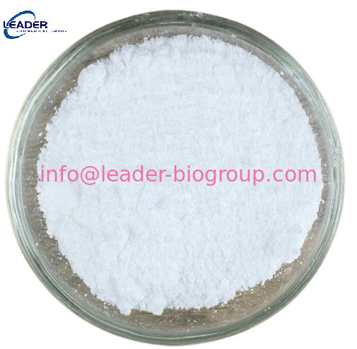 China biggest Factory  Supply CAS: 873-32-5  2-Chlorobenzonitrile  Inquiry: Info@Leader-Biogroup.Com