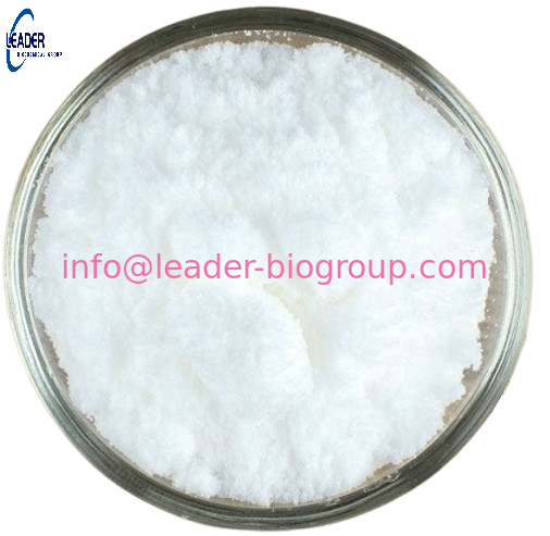 China biggest Factory Manufacturer Supply Orcinol gentiobioside CAS 164991-86-0 Inquiry: Info@Leader-Biogroup.Com